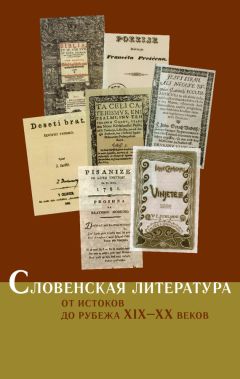 Коллектив авторов - Словенская литература. От истоков до рубежа XIX–XX веков