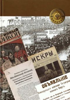 Коллектив авторов - Россия в годы Первой мировой войны: экономическое положение, социальные процессы, политический кризис