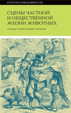 Коллектив авторов - Сцены частной и общественной жизни животных