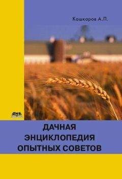 Андрей Кашкаров - Дачная энциклопедия опытных советов