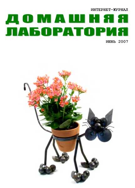 Интернет-журнал "Домашняя лаборатория", 2007 №6 - Усманов
