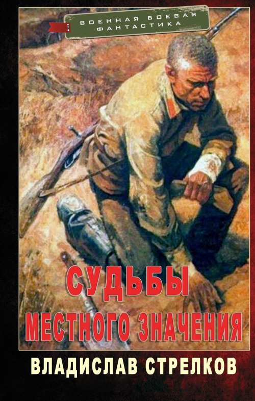 Судьбы местного значения - Владислав Валентинович Стрелков