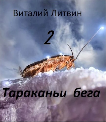 Тараканьи бега - 2 - Виталий Владимирович Литвин