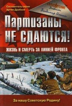 Владимир Ильин - Партизаны не сдаются! Жизнь и смерть за линией фронта